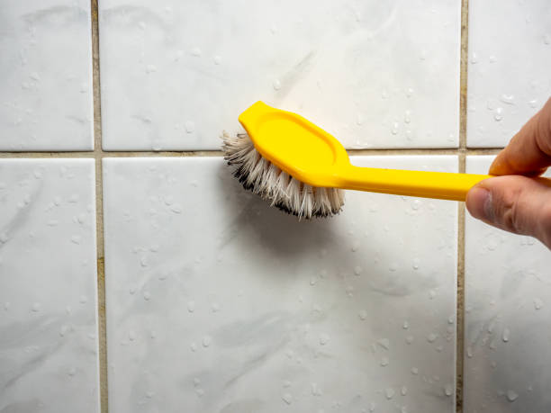 Best Mold Damage Repair  in Farmington, IL