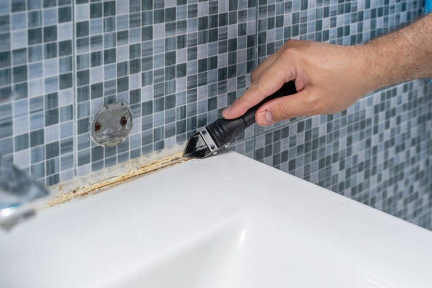 Best Best Mold Removal Companies  in Farmington, IL