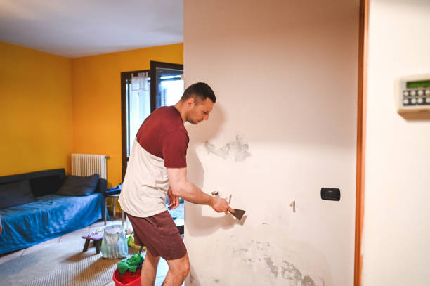 Best Mold Removal Near Me  in Farmington, IL